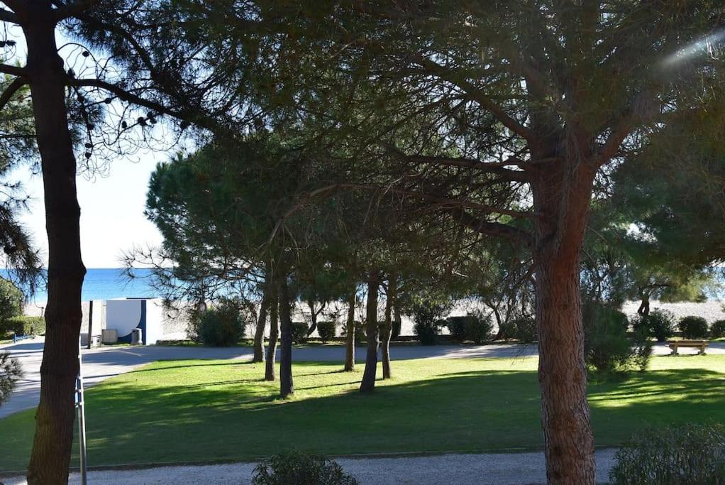 Le Byblos 9 - Vue Mer - Climatisation Plage dʼArgelès Exteriör bild